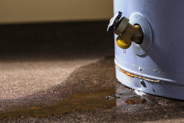 Best Residential water damage restoration  in Alta Sierra, CA