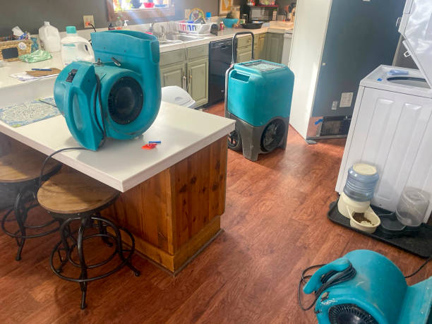 Best Water damage restoration near me  in Alta Sierra, CA