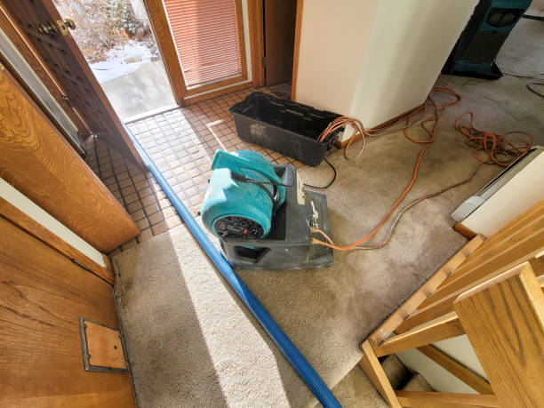 Professional Water damage restoration in Alta Sierra, CA
