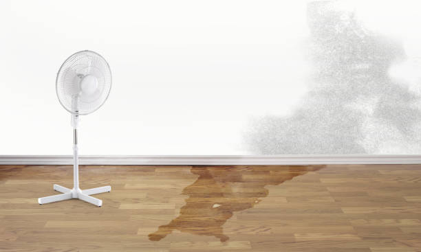 Water damage restoration insurance claims in Alta Sierra, CA