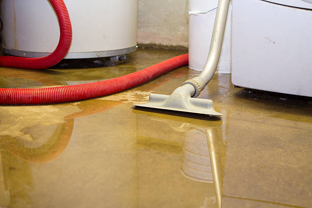 Best Water damage cleanup near me  in Alta Sierra, CA