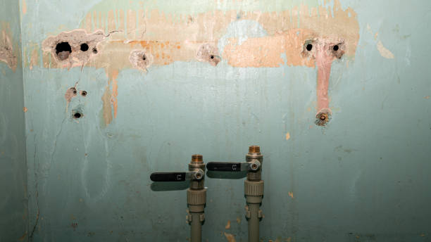 Best Water damage restoration specialists  in Alta Sierra, CA