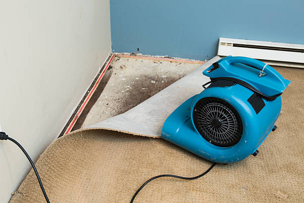 Best Carpet water damage restoration  in Alta Sierra, CA